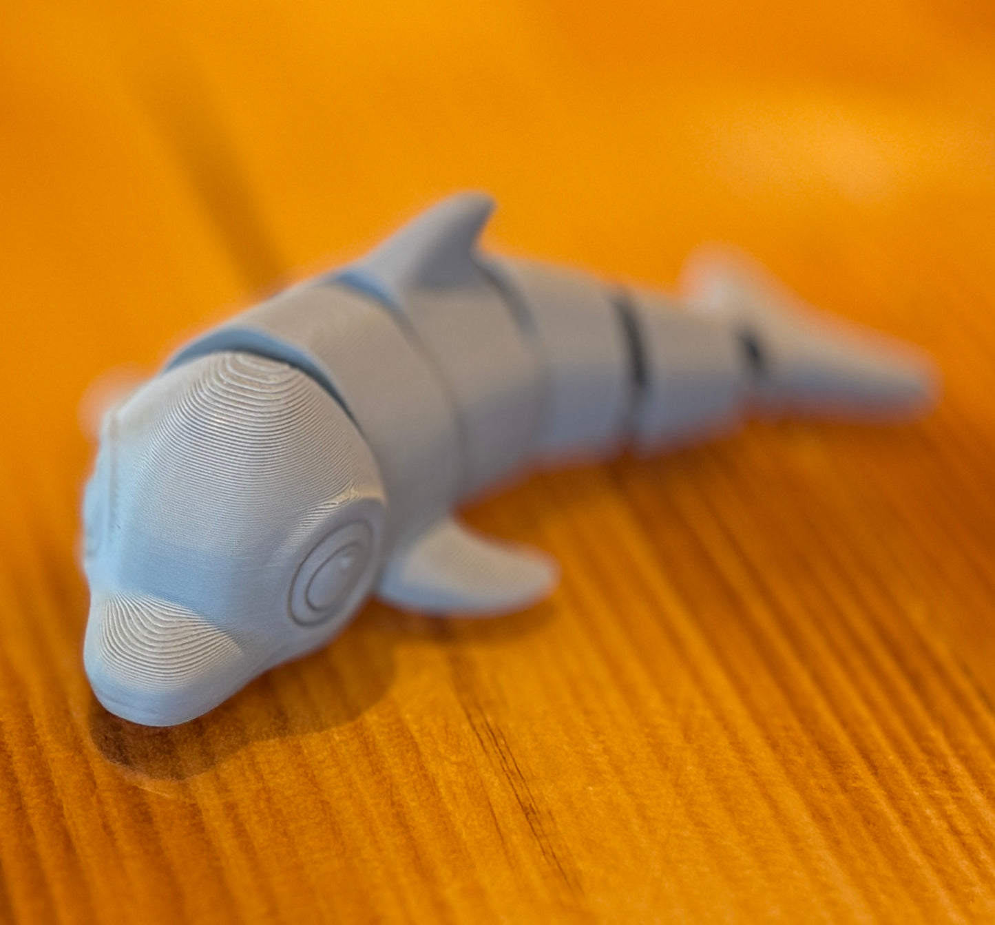 Flex Dolphin