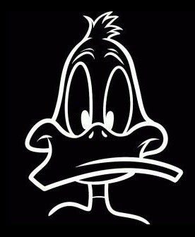 duck0