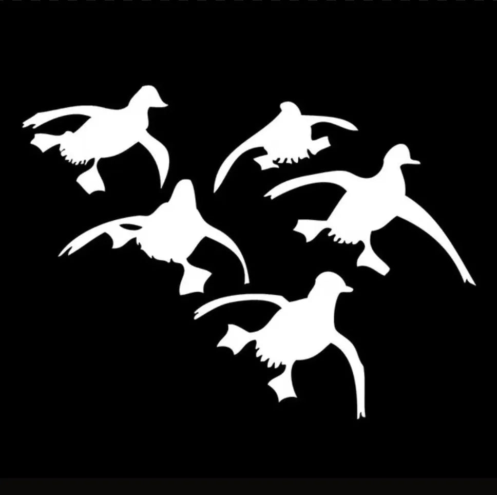 Birds