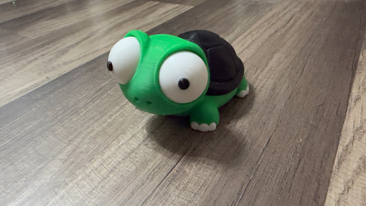 Turtle