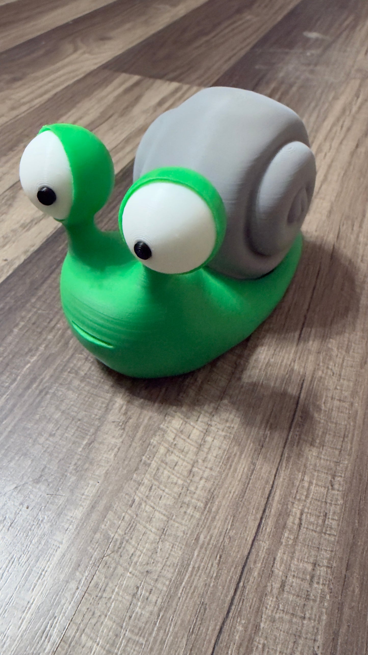 Snail