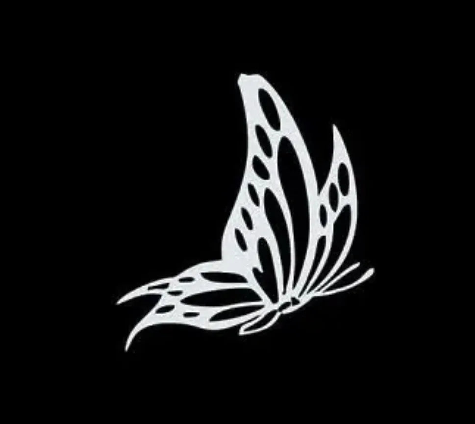 Butterfly 1