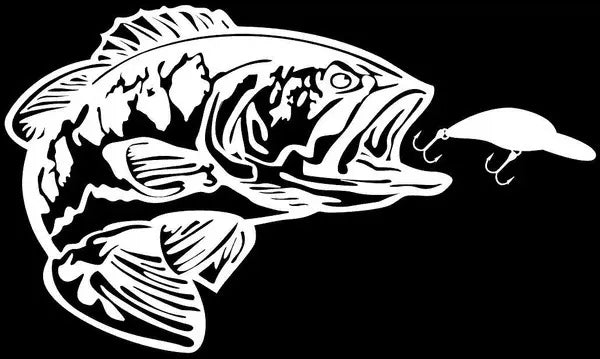 Fish 1